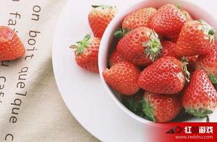 娱乐吃瓜酱草莓视频下载,娱乐吃瓜酱带你轻松获取热门娱乐内容