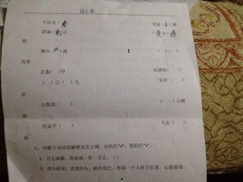 娱乐场词语解释