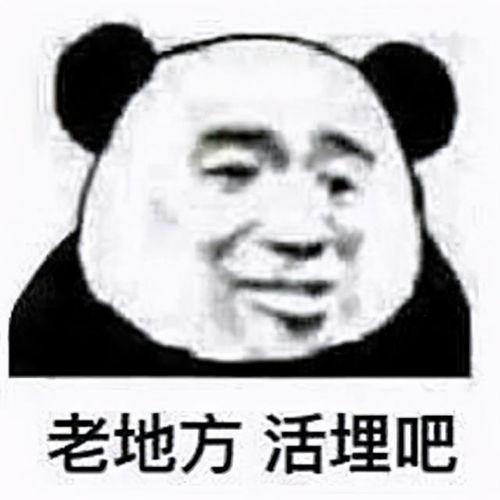 发生了什么四表情包,一场突如其来的事件背后的喜怒哀乐